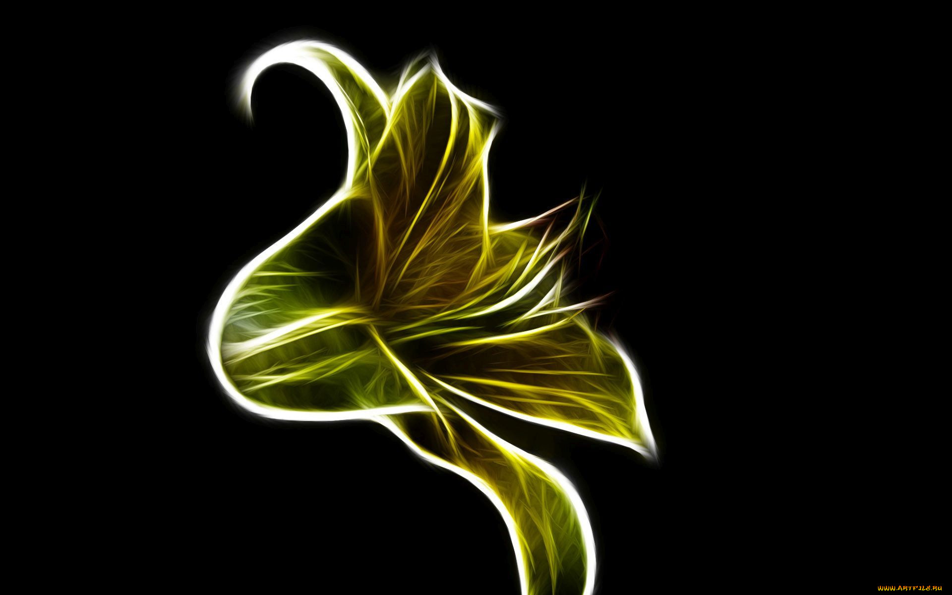 3 ,  , flowers, , 
